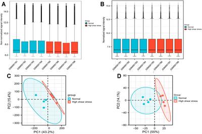 Prediction of Mechanosensitive Genes in Vascular Endothelial Cells Under High Wall Shear Stress